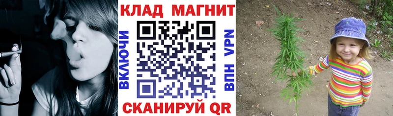 Галлюциногенные грибы Петровск