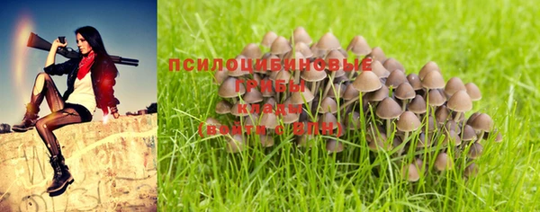 дживик Арсеньев