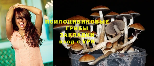дживик Арсеньев