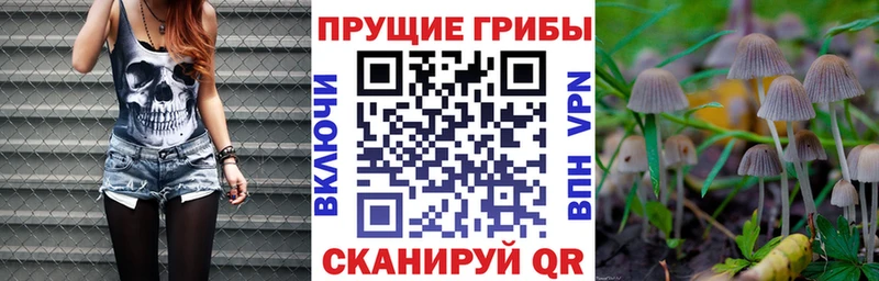 даркнет официальный сайт Петровск Галлюциногенные грибы мухоморы купить наркоту кракен tor